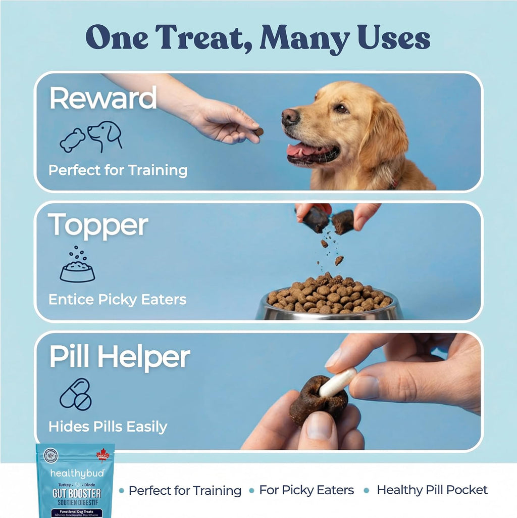 Healthybud Masticables Probióticos para Perros – Salud Digestiva e Intestinal – Con Prebióticos, Fibra, Calabaza y Boniato – Alivio para Estómagos Sensibles (130g)