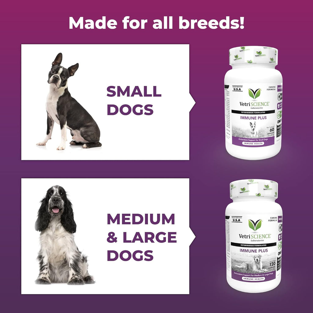 VetriScience Immunity Health Immune Plus Cápsulas para Perros Medianos y Grandes, 60 uds.