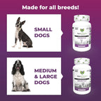 VetriScience Immunity Health Immune Plus Cápsulas para Perros Medianos y Grandes, 60 uds.