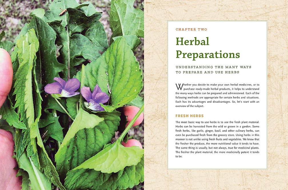 The Modern Herbal Dispensatory: A Medicine-Making Guide