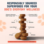 Pets are Kids Turkey Tail Mushroom for Dogs with Organic Real Turkey Tail™ - 8:1 Extract Mushroom Chews for Immune System Health, Gut, Skin & Joint Support - Reishi, Lion's Mane - 120 Chews