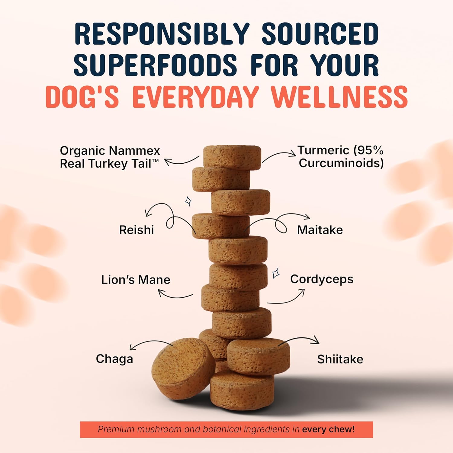 Pets are Kids Turkey Tail Mushroom for Dogs with Organic Real Turkey Tail™ - 8:1 Extract Mushroom Chews for Immune System Health, Gut, Skin & Joint Support - Reishi, Lion's Mane - 120 Chews