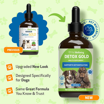Pet Wellbeing Detox Gold para Perros y Gatos – Cardo bendito (Cnicus benedictus): Conocido por su contenido en – Image 2