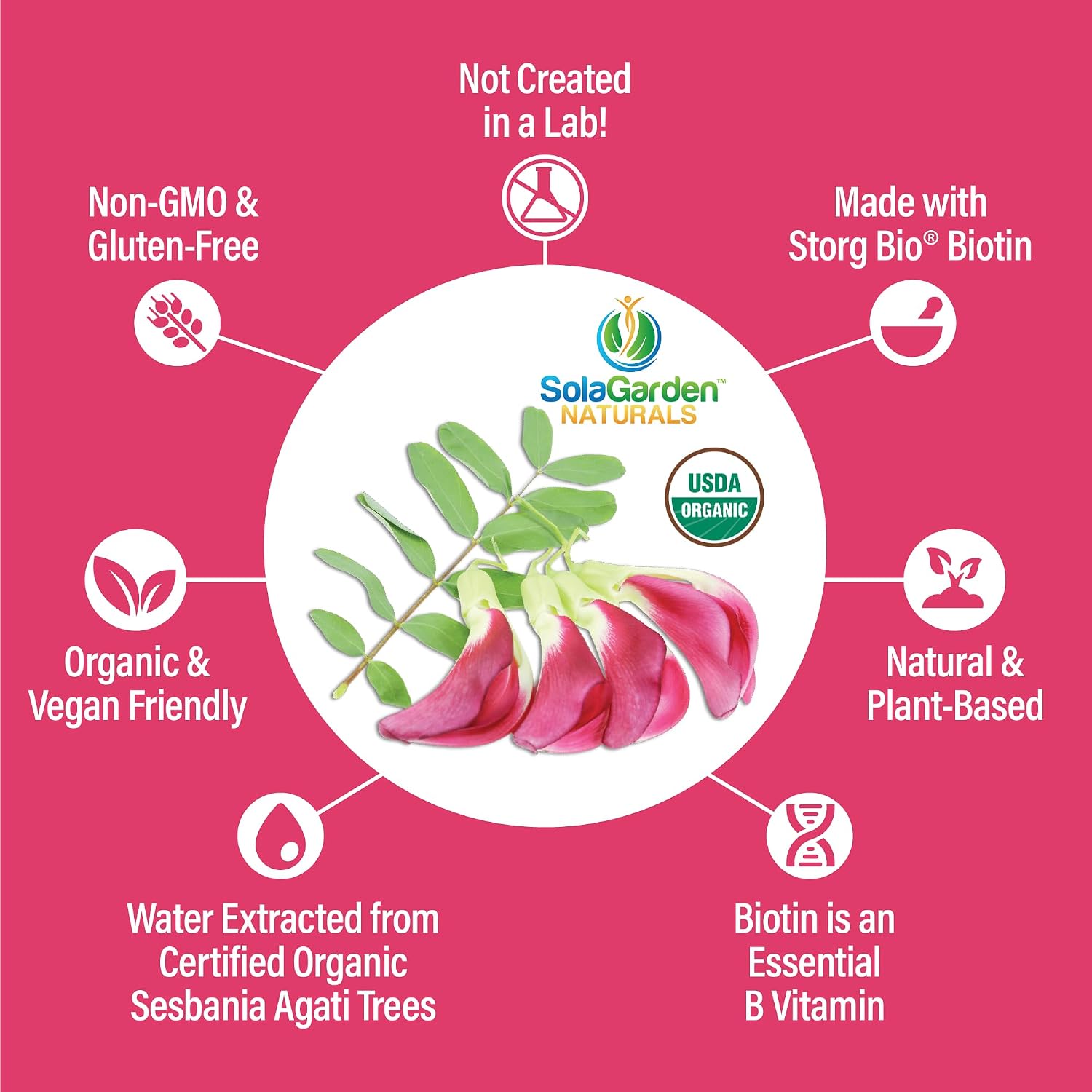 Biotina Orgánica Vegetal 5000 mcg - 60 Cápsulas - SolaGarden Naturals