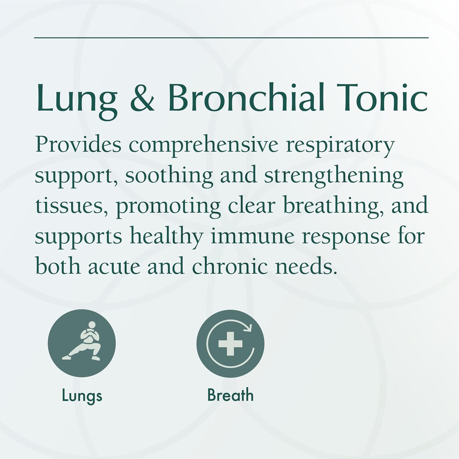 Natura Health Products Tónico Pulmonar y Bronquial - Extractos de Gordolobo, Tomillo, Fenogreco, Lobelia y Llantén (118 ml)