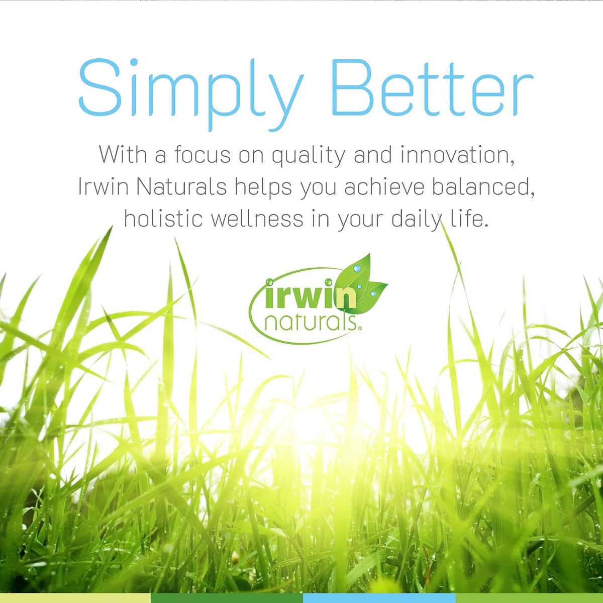 Irwin Naturals Stress-Defy Apoyo al Estado – Ginkgo biloba: Conocido por su capacidad para apoyar la función – Image 7