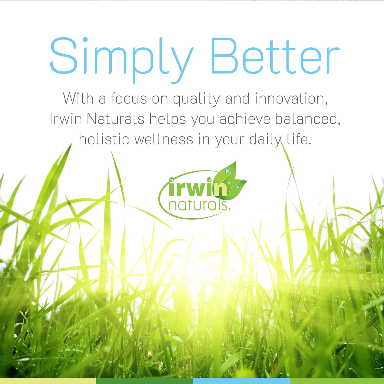 Irwin Naturals Stress-Defy Apoyo al Estado de Ánimo – 84 Soft-Gels Líquidos