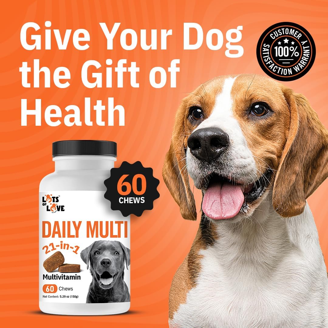 LotsOfLove Daily Multi Dog Chews - Multivitamínico masticable para perros (60 unidades)