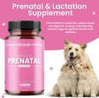 Kilab Vitaminas Prenatales Completas para Perros – 150 Comprimidos con Hierro, Colina, Zinc, DHA y Probióticos