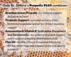 Dr. Ohhira's Propolis Plus - Propóleo Verde Brasileño con Postbióticos y Omega-3 (30 Cápsulas)
