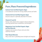 PURE SYNERGY Bone Renewal - Calcio biodisponible con cofactores - Suplemento vegano para la salud ósea - 150 cápsulas