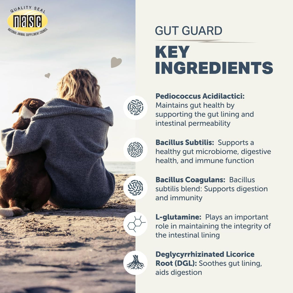 Gut Guard - Probióticos, Prebióticos y Hierbas Orgánicas para Perros - Salud Intestinal y Apoyo Inmunológico - Formulado por Veterinarios - Suministro para 30 Días para Perros Grandes