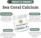 Wholistic Pet Organics Pure Powder Calcium - Calcio en Polvo para Perros y Gatos - 60 Dosis