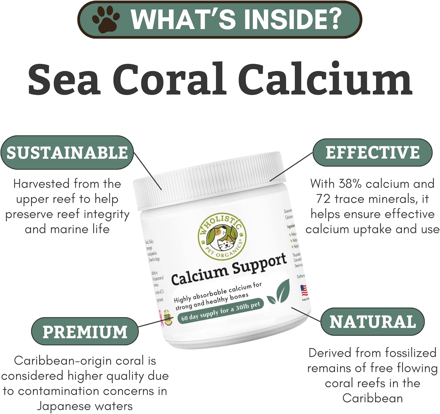 Wholistic Pet Organics Pure Powder Calcium - Calcio en Polvo para Perros y Gatos - 60 Dosis