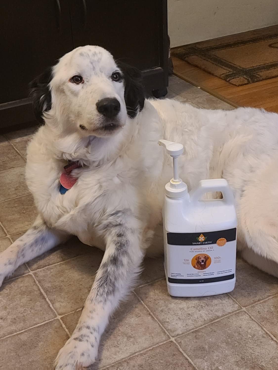 Aceite de Camelina para Perros - Omega 3,6,9 - Suplemento para Piel, Pelaje y Articulaciones (64oz con Bomba)