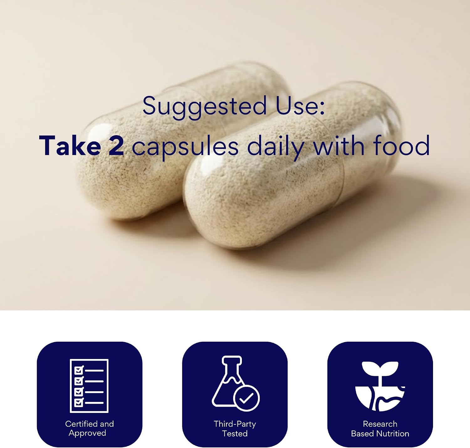 Research Verified Brain Booster - Complemento Nootrópico para Memoria y Enfoque - 360 Cápsulas Veganas