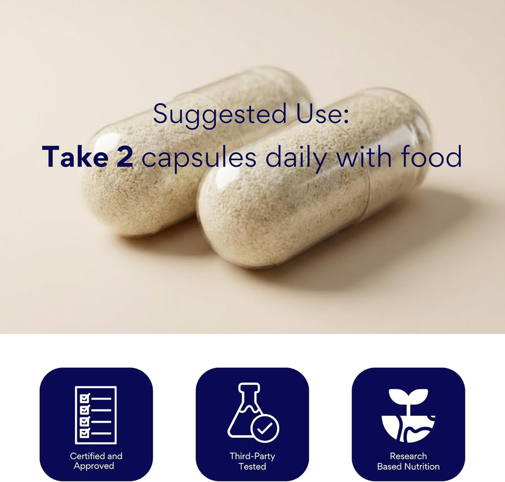 Research Verified Brain Booster - Complemento para la Memoria y la Concentración, Nootrópico con Vitaminas B, Aminoácidos y Hierbas - 180 Cápsulas Veganas (3 Frascos)