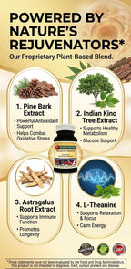 Healthy Habits StemCell Maxum - Suplemento Vegano para el Bienestar Celular