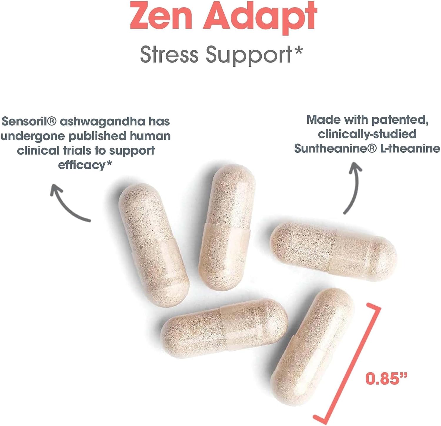 NutriCology ZenMind Adapt - 200 mg L-Teanina, 125 mg Ashwagandha y 550 mg GABA - Apoyo al Estrés y la Calma - 60 Cápsulas Vegetarianas