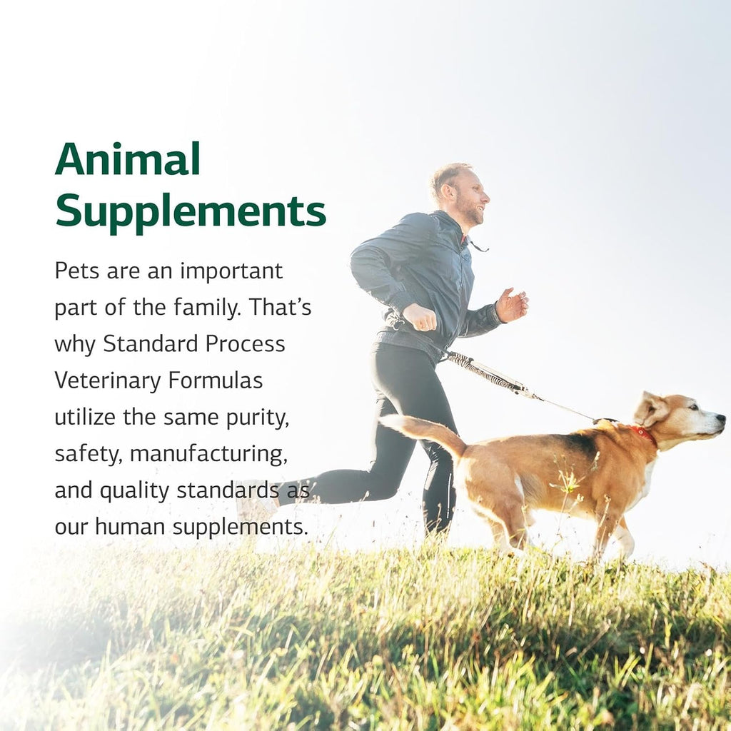 Standard Process Canine Immune System Support – Suplemento para el sistema inmunitario de perros – Polvo con zinc y algas – 30 g