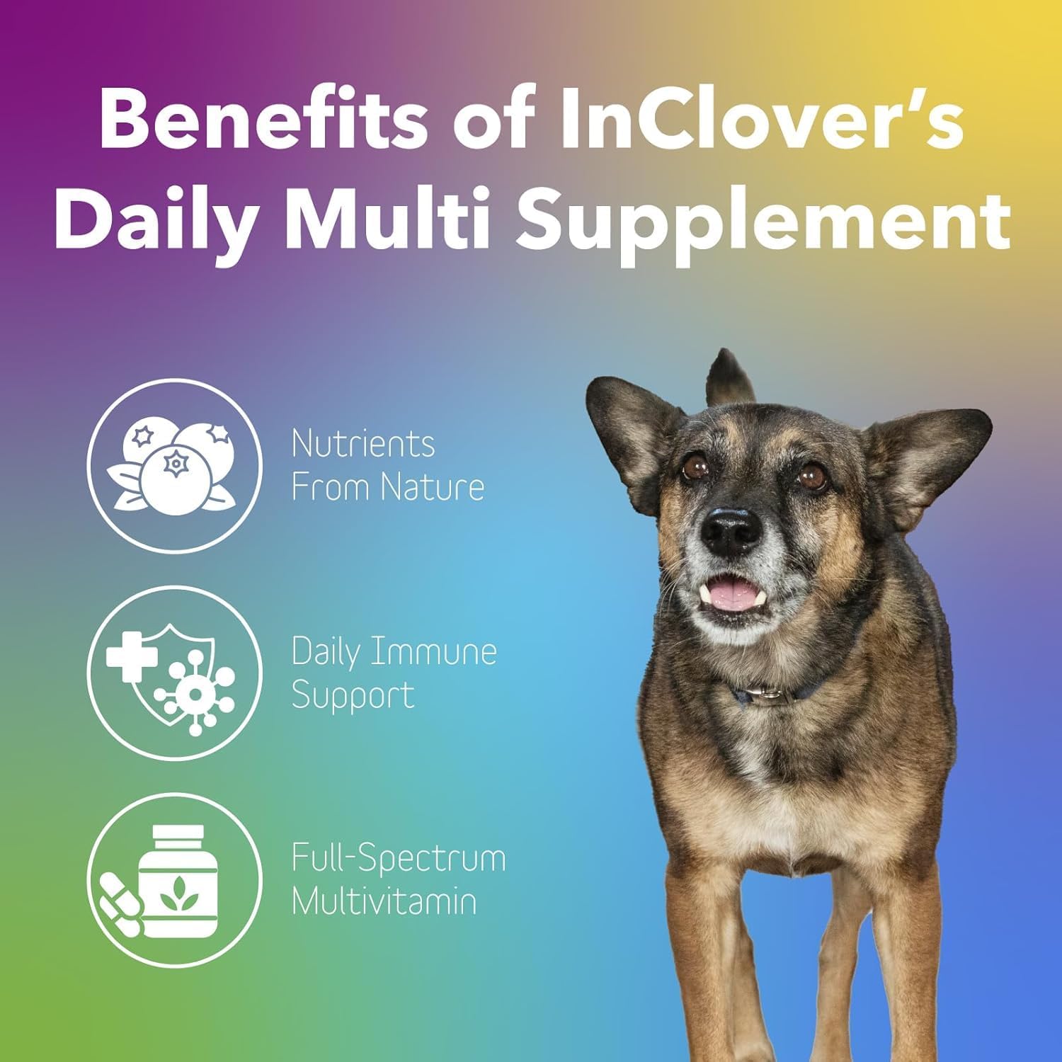 InClover Daily Multi - Polvo de Vitalidad para Perros y Gatos - Refuerzo Inmunitario con Arándano Orgánico, Algas, Cola de Pavo y Fibras Postbióticas