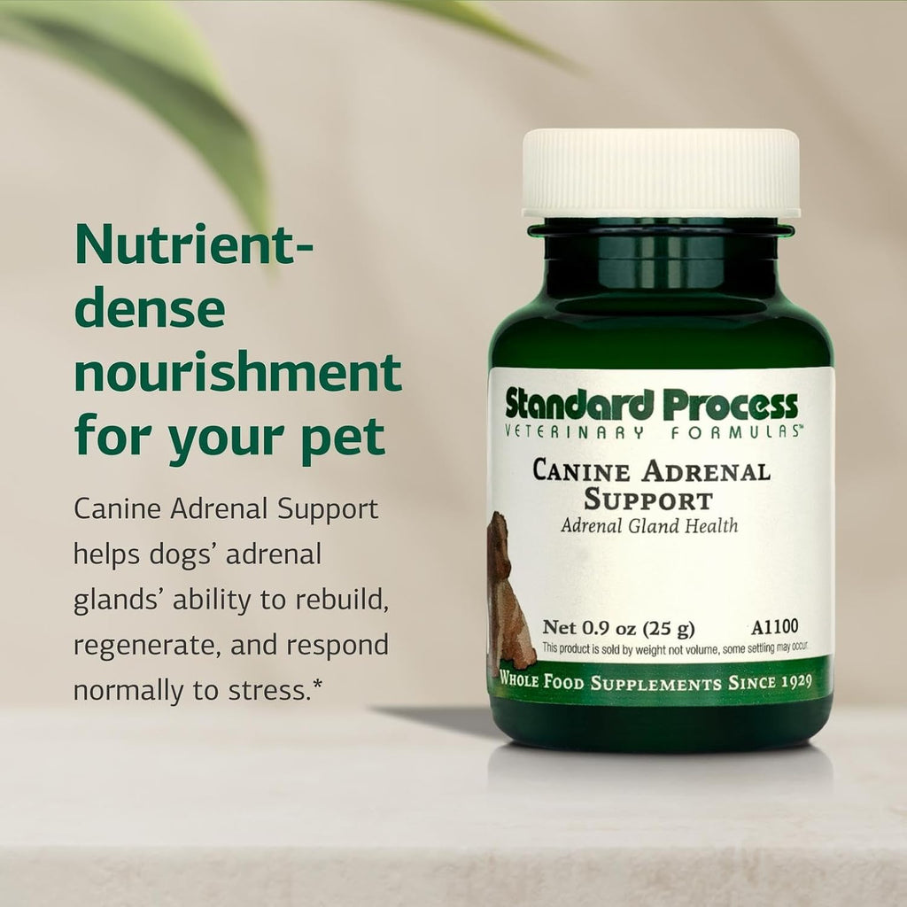 Standard Process Canine Adrenal Support - Suplemento Nutricional para Perros - Polvo para el Apoyo Suprarrenal, Hepático y Renal - 25 g