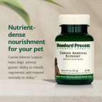 Standard Process Canine Adrenal Support - Suplemento Nutricional para Perros - Polvo para el Apoyo Suprarrenal, Hepático y Renal - 25 g