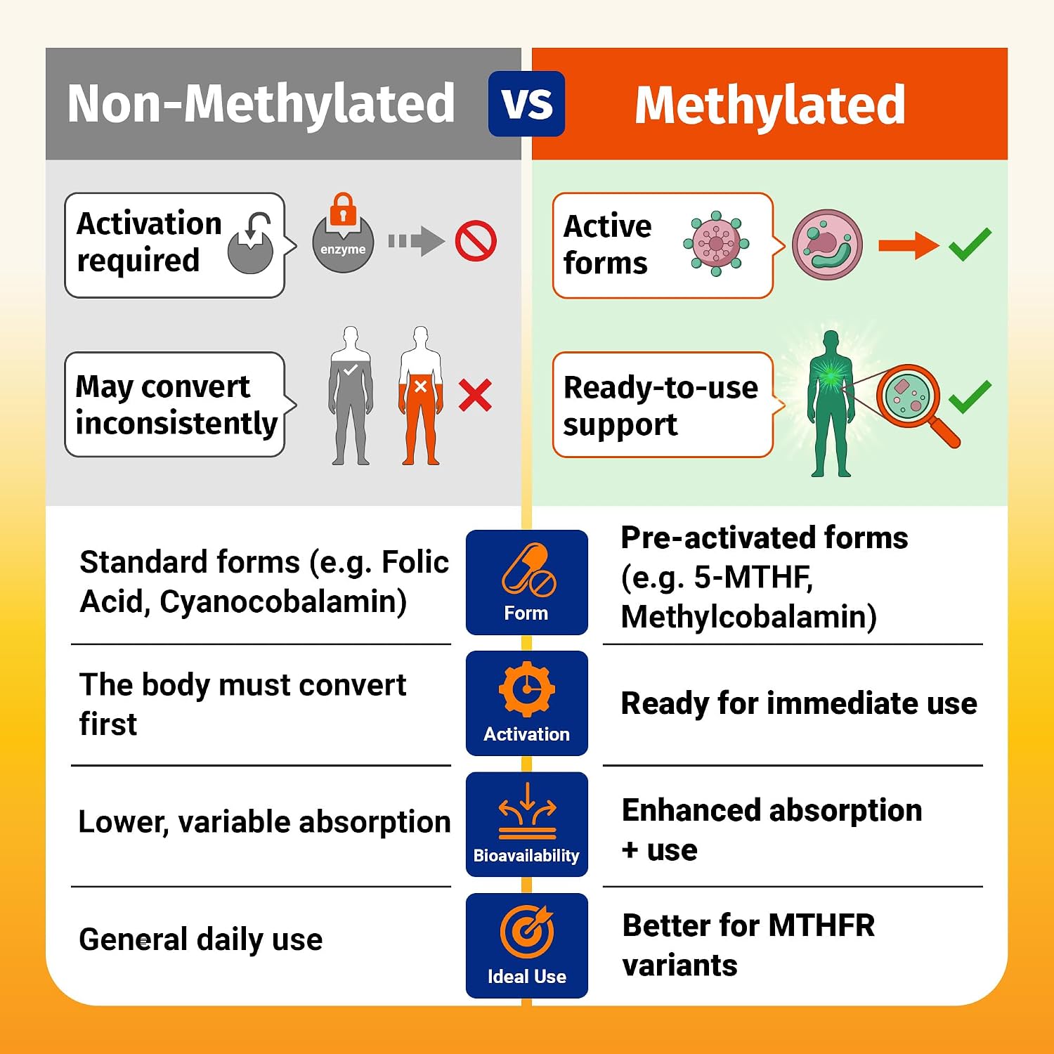 1 Body Methylated B Complex, 5-MTHF Folate & Methyl B12, Twin Pack | Complejo B Metilado