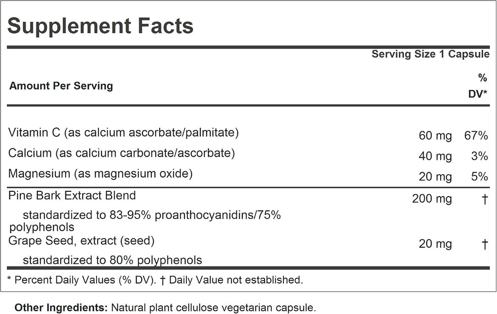 ANDREW LESSMAN Pine Bark OPC Anti-Oxidant Extracts - 60 Cápsulas