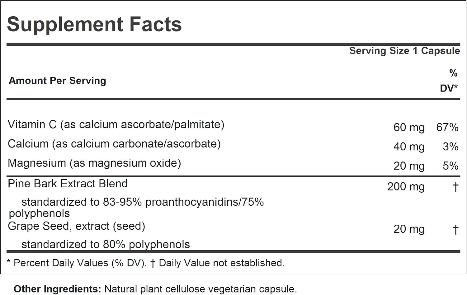 ANDREW LESSMAN Pine Bark OPC Anti-Oxidant Extracts - 60 Cápsulas