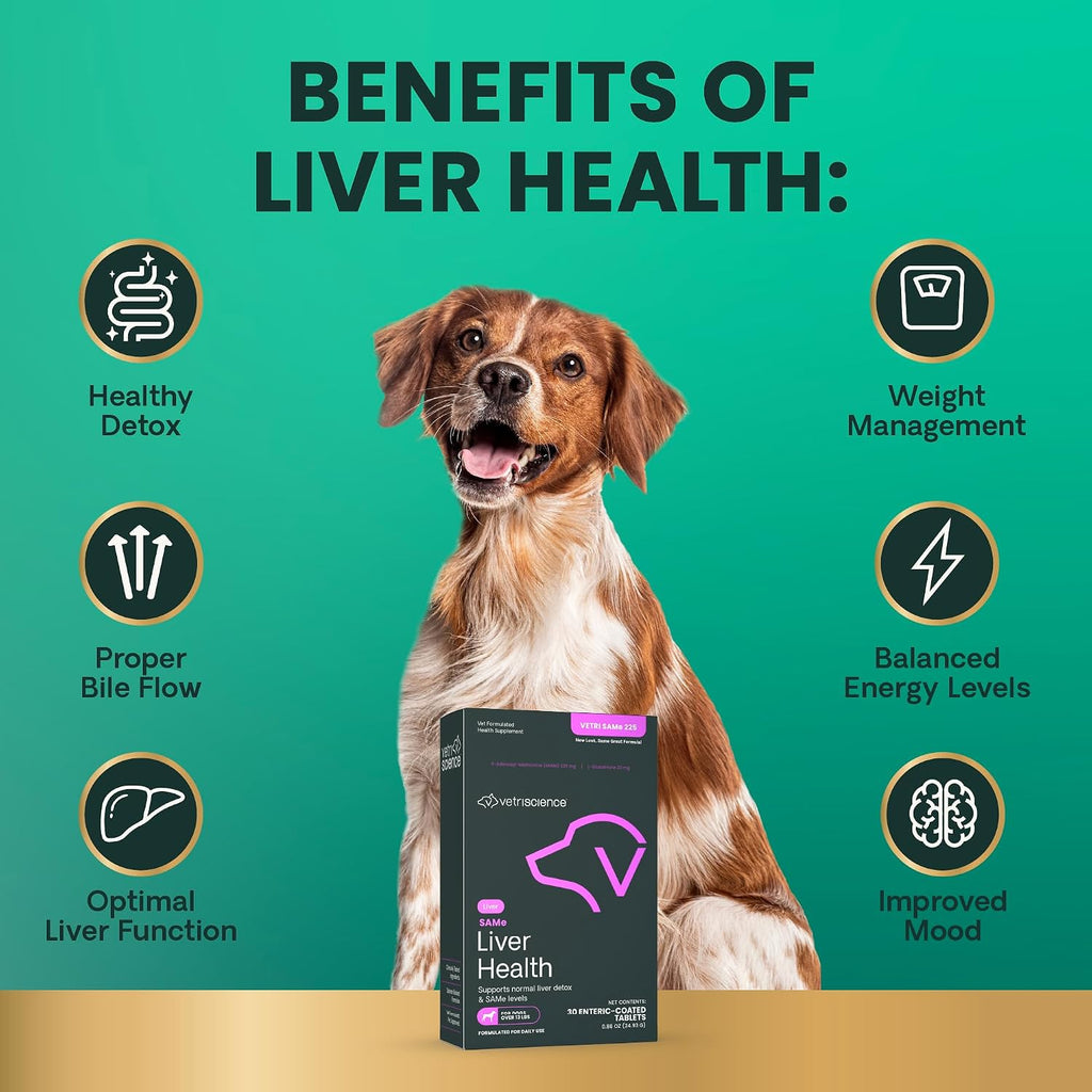 VetriScience SAMe Liver Health Tablets 225 mg – Suplemento Hepático para Perros Medianos y Grandes (30 comprimidos)