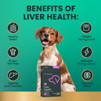 VetriScience SAMe Liver Health Tablets 225 mg – Suplemento Hepático para Perros Medianos y Grandes (30 comprimidos)