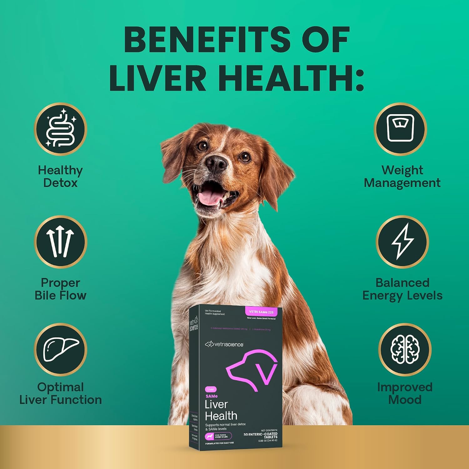 VetriScience SAMe Liver Health Tablets 225 mg – Suplemento Hepático para Perros Medianos y Grandes (30 comprimidos)