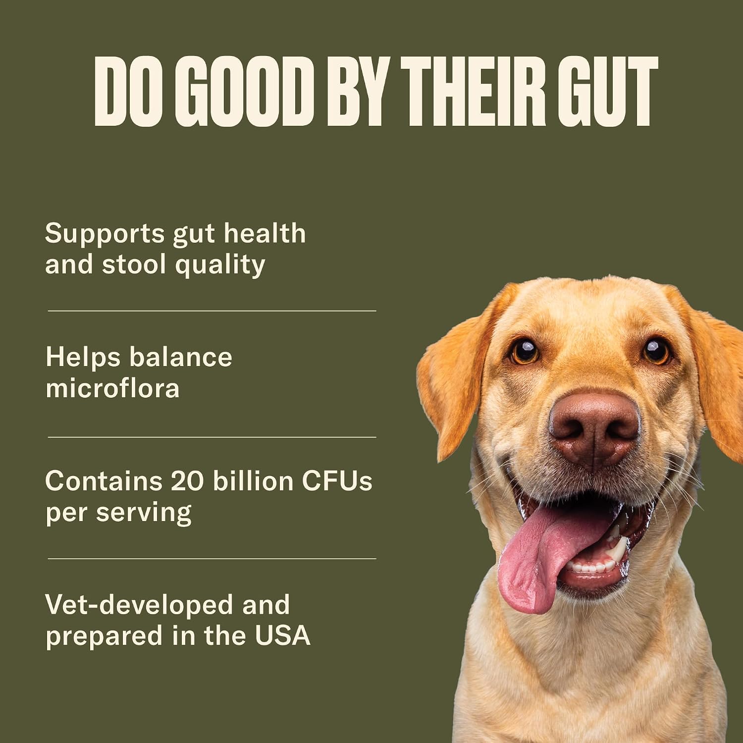 Nom Nom Probiótico Digestivo para Perros con Prebióticos y Saccharomyces boulardii - Polvo para la Salud Gastrointestinal