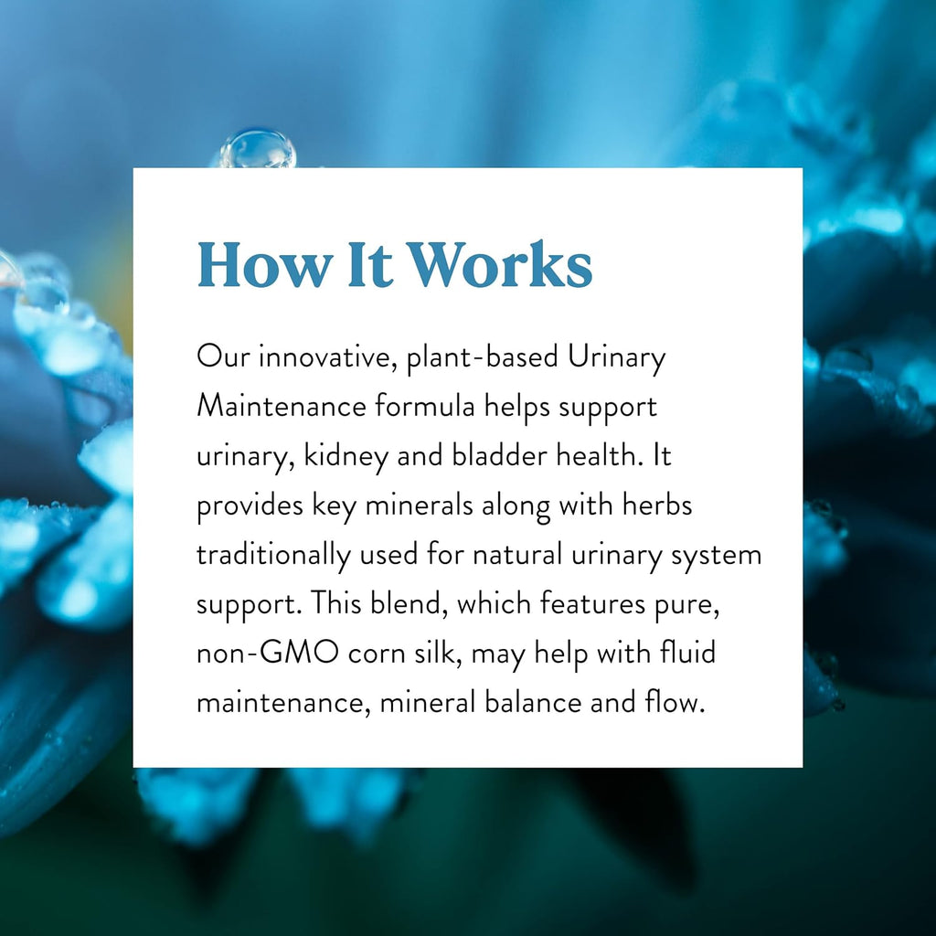 Nature's Sunshine Urinary Maintenance, 120 Cápsulas