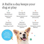 Rallie Agua Hidrogenada Sabor Mantequilla de Cacahuete para Perros con Electrolitos, Glucosamina y Vitaminas B - 6 Pack de 500ml