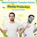 Meliorantheris Transfer Factor 1800mg | Colostrum & Egg Yolk Extracts con Zinc y Selenio | Apoyo Inmunitario y Cognitivo | 90 Cápsulas
