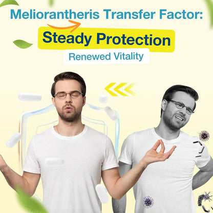 Meliorantheris Transfer Factor 1800mg | Colostrum & Egg Yolk Extracts con Zinc y Selenio | Apoyo Inmunitario y Cognitivo | 90 Cápsulas