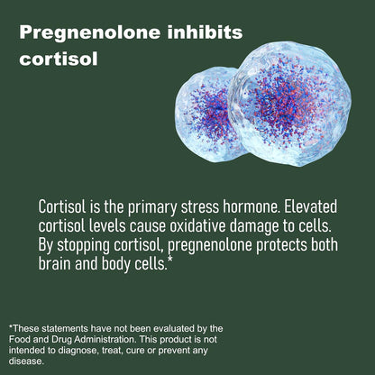 LifeLink Pregnenolona 50mg – 100 Cápsulas – Vitalidad y energía: Dado su papel en la producción hormonal, puede – Image 6