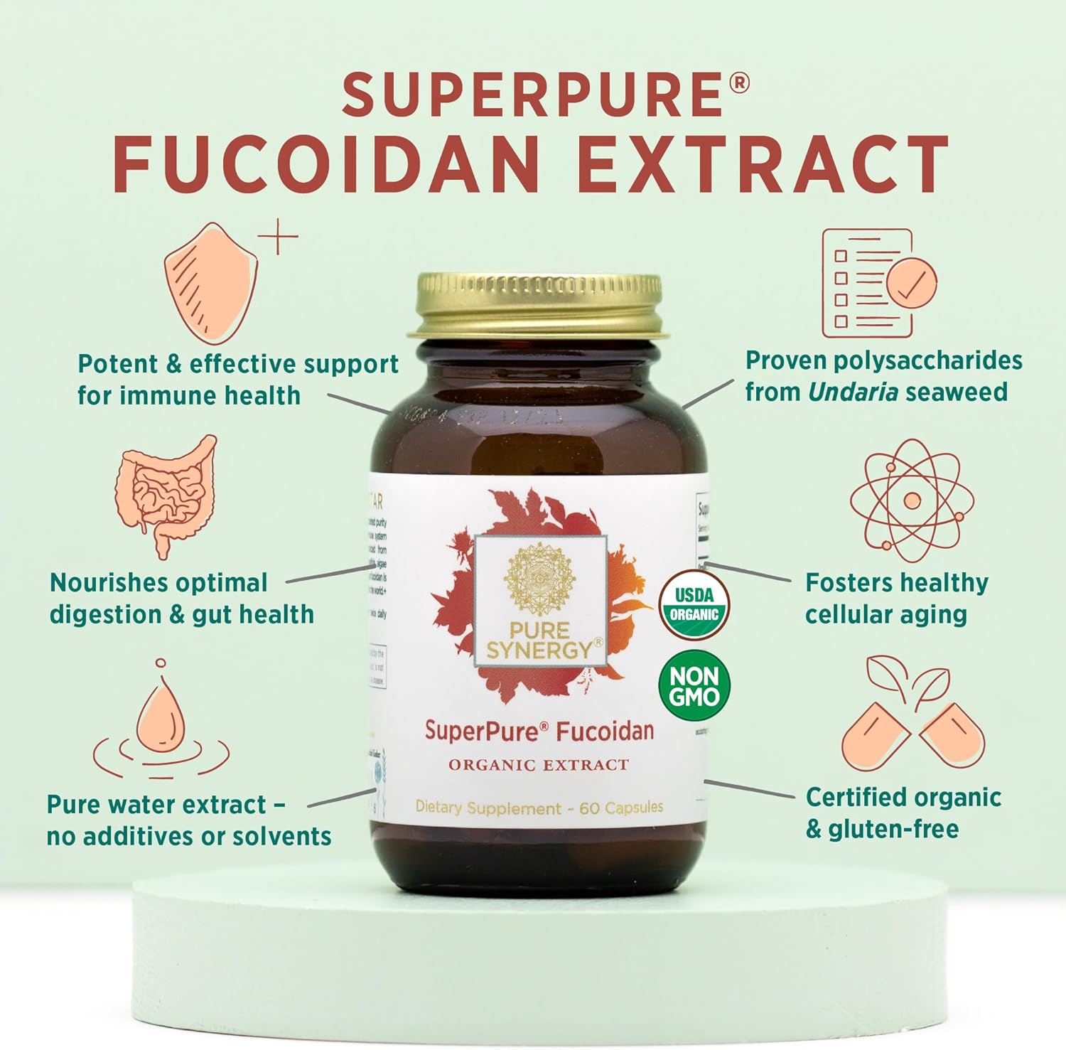 PURE SYNERGY SuperPure Fucoidan Extract - 60 Cápsulas - Fucoidan Puro de Alga Parda Orgánica