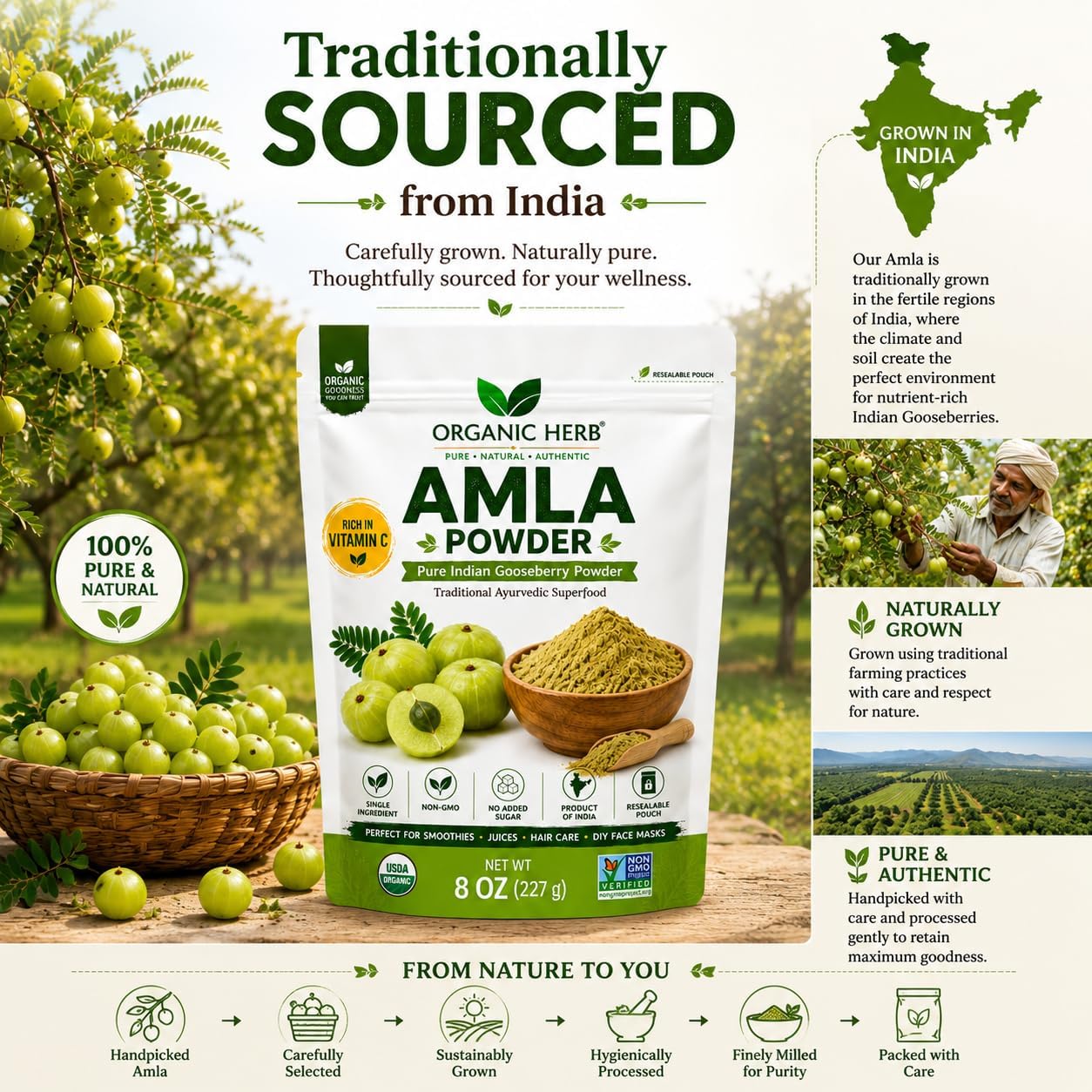 Polvo de Amla Orgánico - Complemento de Vitamina C Natural para Inmunidad y Cabello - 227 g