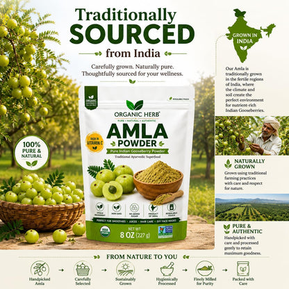 Polvo de Amla Orgánico - Complemento de Vitamina C Natural para Inmunidad y Cabello - 227 g – Image 3
