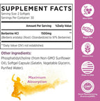 KoNefancy Berberina Liposomal 1500mg - 120 Cápsulas Blandas