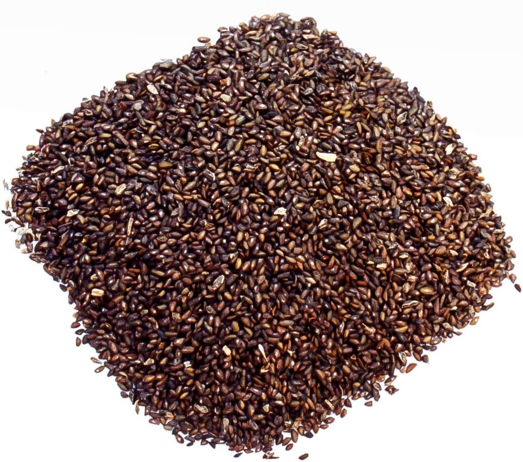 Dragon Herbs - Eagle Vision Cápsulas - 100 Cápsulas, 500 mg cada una