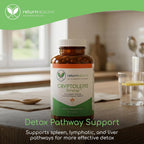 Cryptolepis Synergy, Complemento Alimenticio para el Apoyo Inmunitario, Hepático y Linfático, 120 Cápsulas, 3 Paquetes