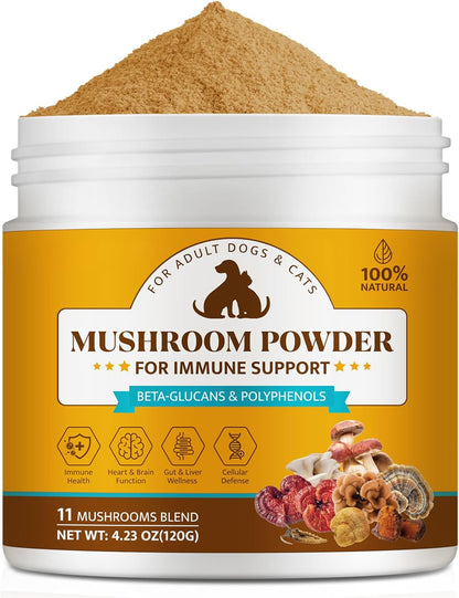 Organic Mushroom Supplement Powder for Dogs – Turkey Tail y Chaga : ricas en polisacáridos que pueden favorecer la – Image 1