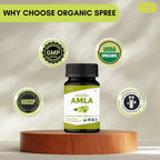 ORGANIC SPREE Tabletas de Amla Orgánico - 1200 mg por dosis - Grosella Espinosa India, Suplemento Rico en Vitamina C, Apoya el Sistema Inmunitario, 120 Tabletas