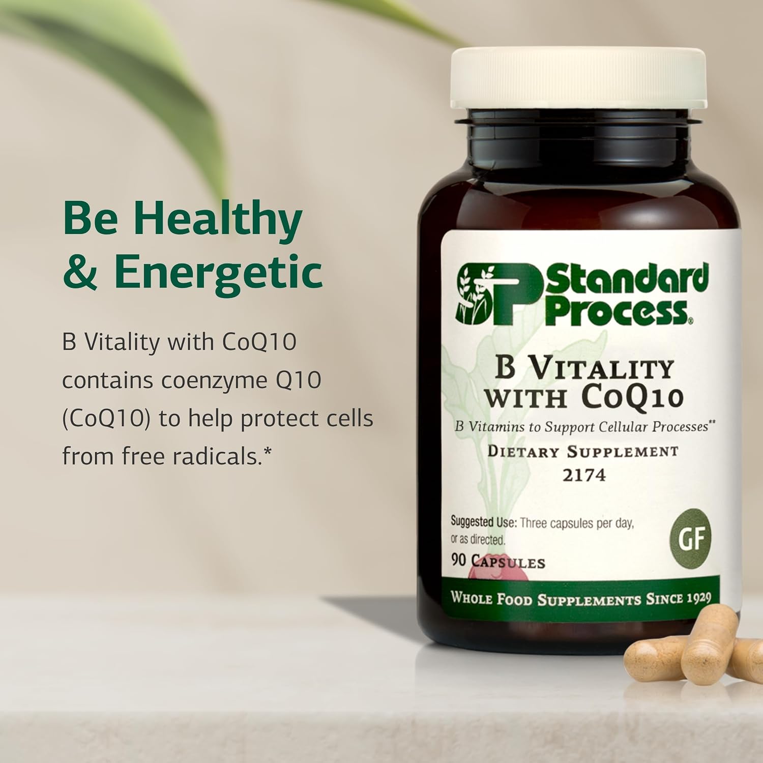 Standard Process B Vitality con CoQ10 - Complejo B con Riboflavina, Biotina y B12 - Vegano, sin Gluten - 90 Cápsulas (30 Servicios)