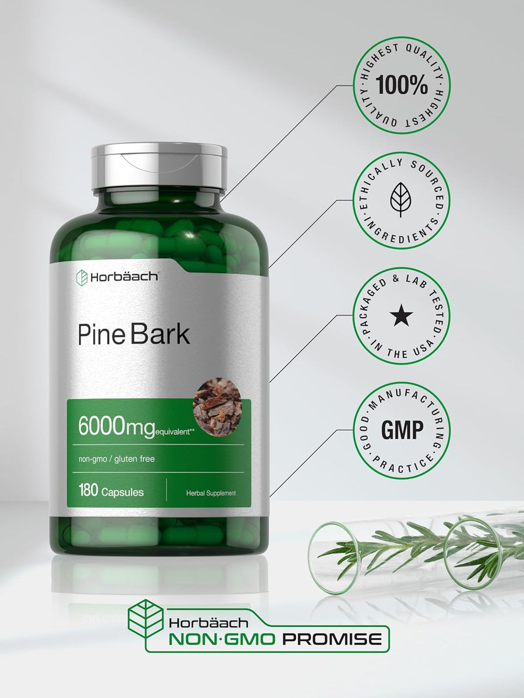 Horbäach Extracto de Corteza de Pino | 180 Cápsulas | Estandarizado al 75% de Proantocianidinas | Alta Potencia