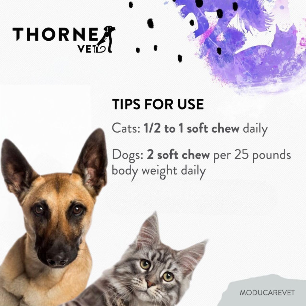 ThorneVet ModucareVET – Snacks Blandos con Esteroles Vegetales para el Apoyo Inmunológico de Perros, Gatos y Caballos, 90 uds.